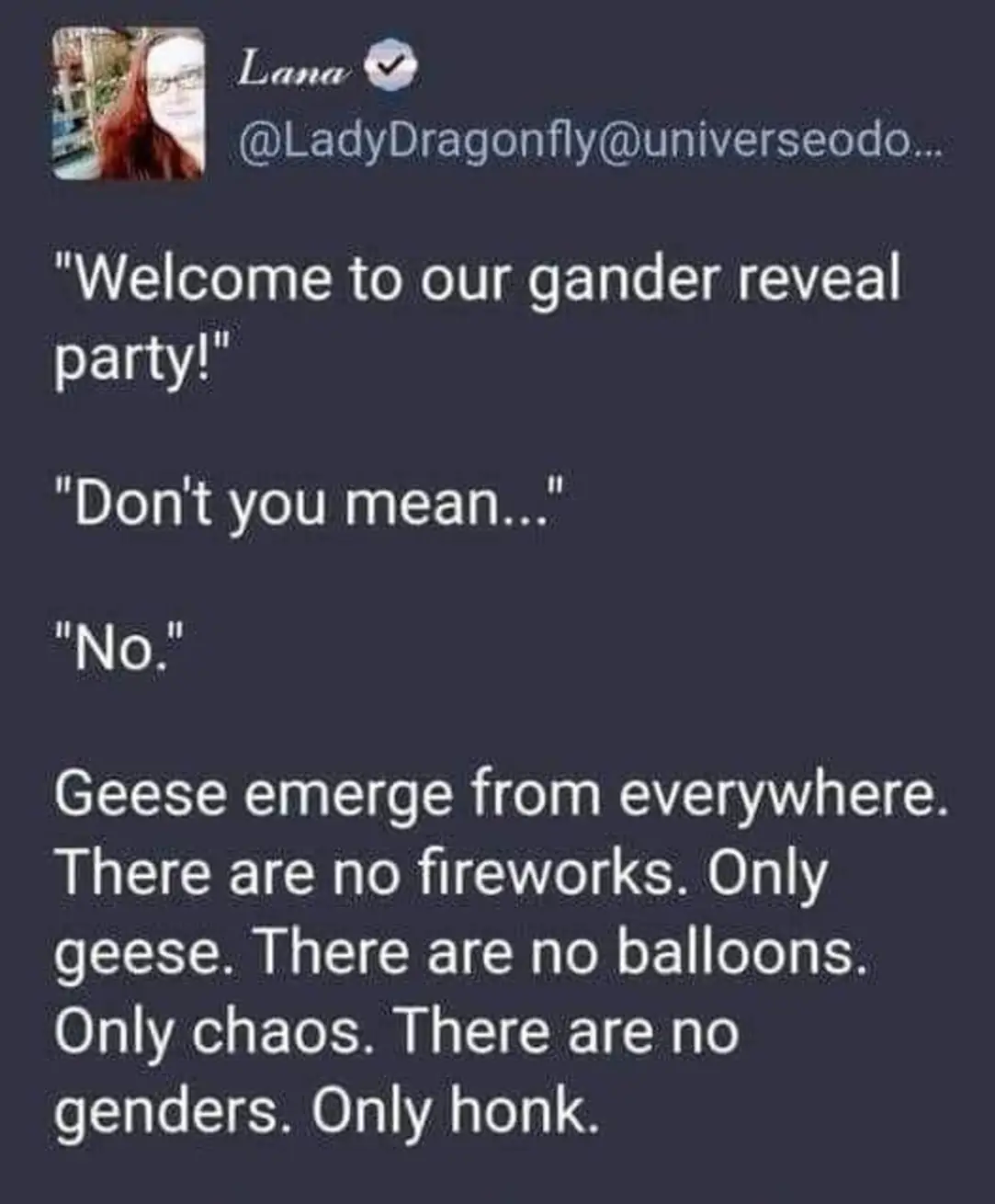 This meme is a humorous take on a typical introduction to a party or event. The text "Welcome to our gander reveal party!" is followed by a series of absurd and humorous statements, including "Don't you mean... 'Ladies'?" and "In that case, 'Ladies' is a type of bird, but a male bird is called a 'Cock'...". The text then takes a series of absurd and humorous statements, including "Don't you mean... 'Ladies'?" and "In that case, 'Ladies' is a type of bird, but a male bird is called a 'Cock'...". The text then takes a series of absurd and humorous statements, including "Don't you mean... 'Ladies'?" and "In that case, 'Ladies' is a type of bird, but a male bird is called a 'Cock'...".